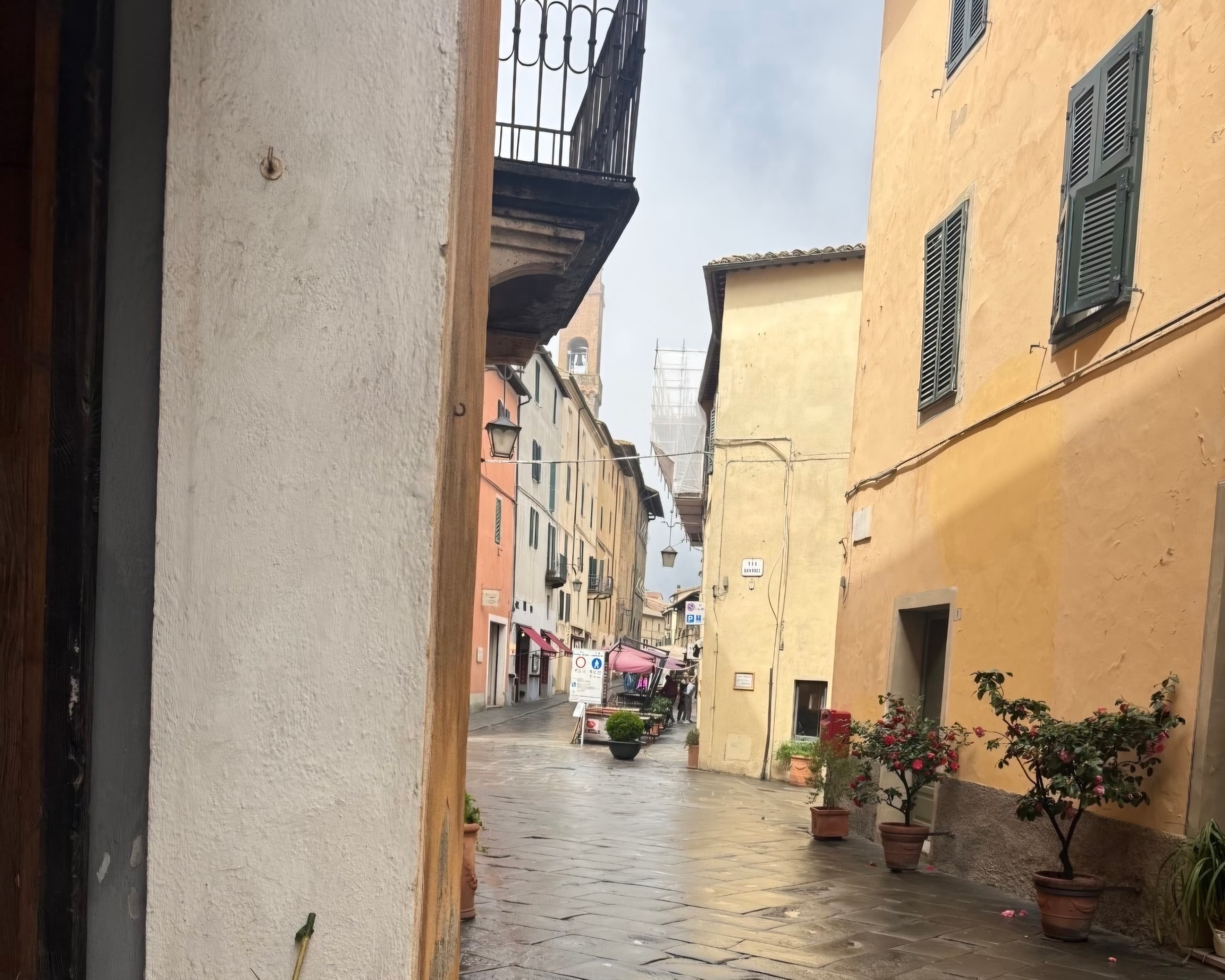 Narrow wet cobblestone street lined with yellow buildings, green shutters, and potted flowering plants.
